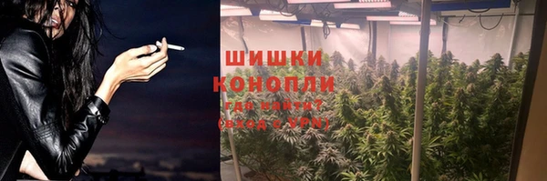 ГАЛЛЮЦИНОГЕННЫЕ ГРИБЫ Покров