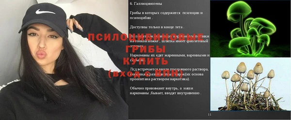 экстази Алексин