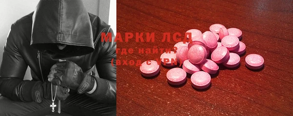 ГАЛЛЮЦИНОГЕННЫЕ ГРИБЫ Покров