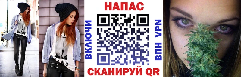 Бошки марихуана сатива  Калачинск 